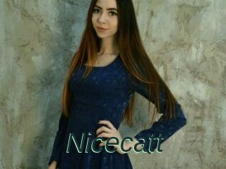 Nicecatt