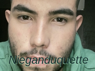 Nieganduquette