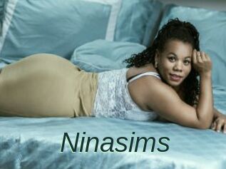 Ninasims