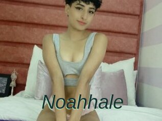 Noahhale
