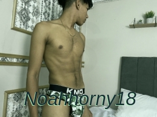 Noahhorny18
