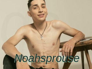 Noahsprouse