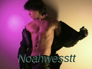 Noahwesstt
