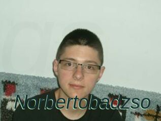 Norbertobadzso