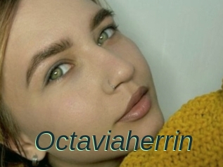 Octaviaherrin