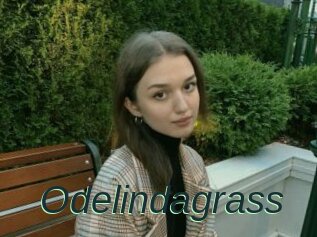 Odelindagrass