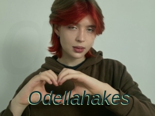 Odellahakes