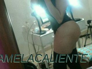PAMELA_CALIENTE