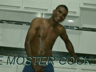 POOL_THE_MOSTER_COCK