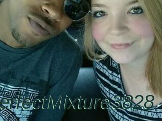 PerfectMixture3828