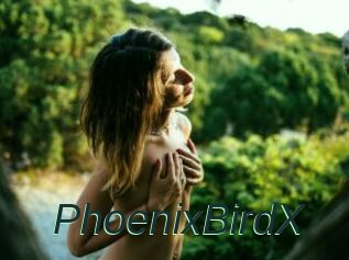 PhoenixBirdX