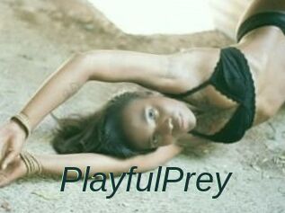 PlayfulPrey