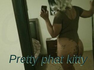 Pretty_phat_kitty