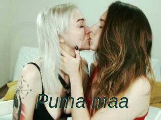 Puma_maa