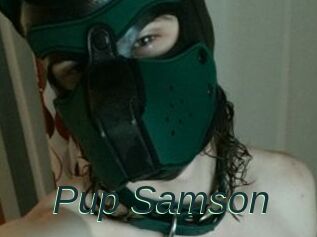 Pup_Samson