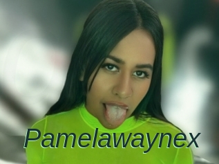 Pamelawaynex