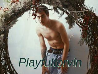 Playfultorvin