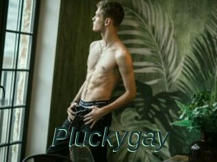Pluckygay