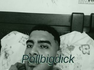 Pollbigdick