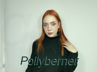 Pollyberner