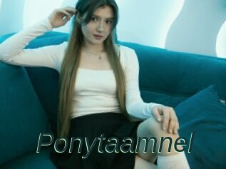 Ponytaamnel