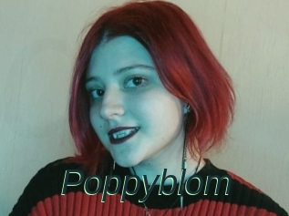 Poppyblom