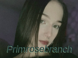 Primrosebranch
