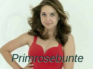 Primrosebunte