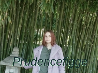 Prudencefigge