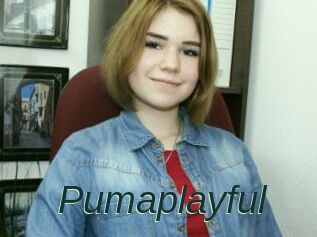 Pumaplayful