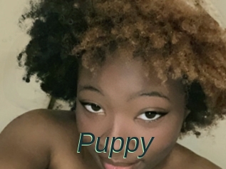 Puppy