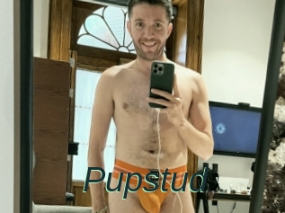 Pupstud