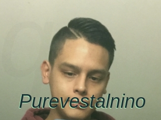 Purevestalnino