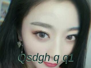 Qsdgh_q_q1