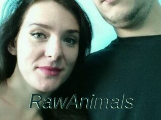 RawAnimals