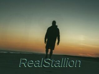 RealStallion