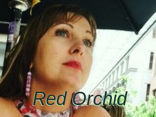 Red_Orchid