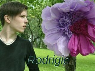 Rodrigie