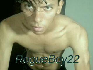 RogueBoy22