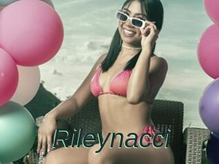 Rileynacci