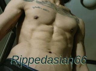Rippedasian66