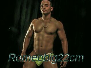 Romeobig22cm
