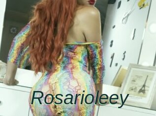 Rosarioleey