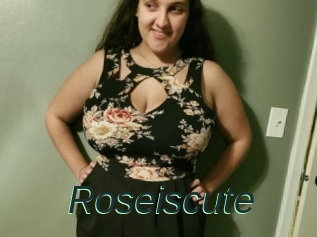 Roseiscute