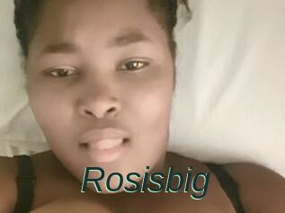 Rosisbig
