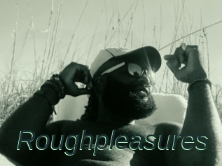 Roughpleasures