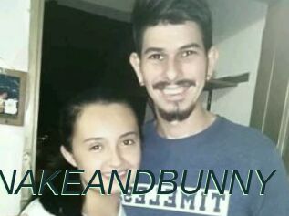 SNAKEANDBUNNY