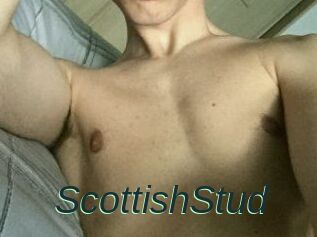 Scottish_Stud