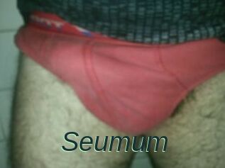 Seumum