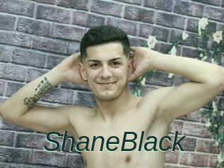 ShaneBlack